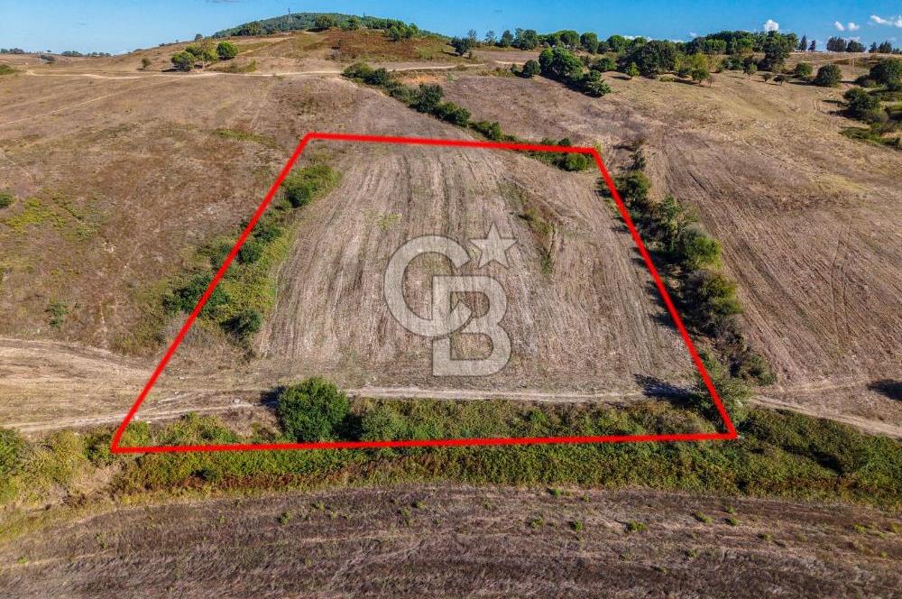 Kuzey Marmara Otoyoluna Yakın 1/1000 Planlı 1.625 m² ArsaHissesi