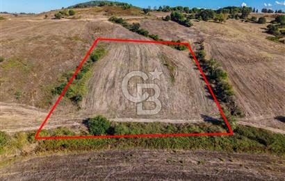 Kuzey Marmara Otoyoluna Yakın 1/1000 Planlı 1.625 m² ArsaHissesi