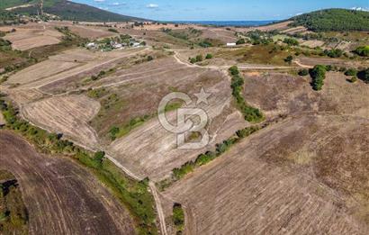 Kuzey Marmara Otoyoluna Yakın 1/1000 Planlı 1.625 m² ArsaHissesi