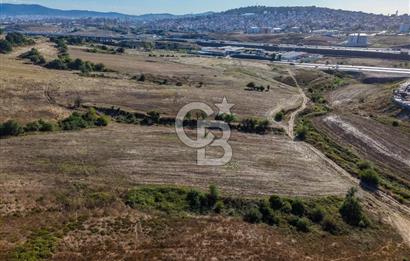Kuzey Marmara Otoyoluna Yakın 1/1000 Planlı 1.625 m² ArsaHissesi