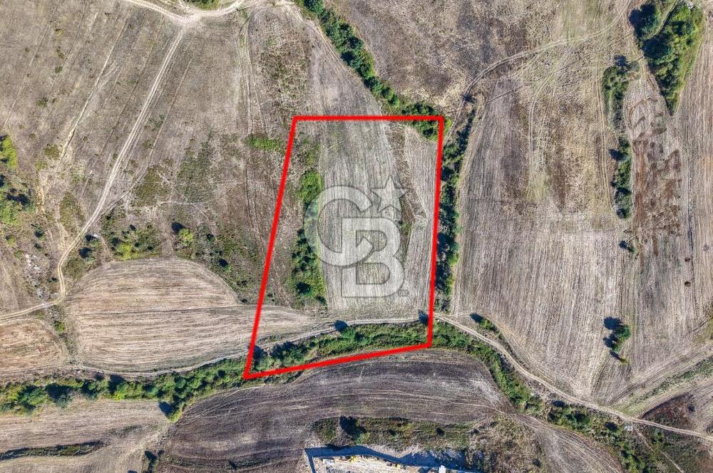 Kuzey Marmara Otoyoluna Yakın 1/1000 Planlı 1.625 m² ArsaHissesi