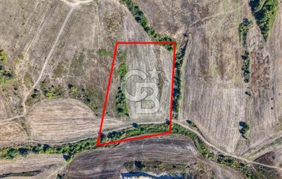 Kuzey Marmara Otoyoluna Yakın 1/1000 Planlı 1.625 m² ArsaHissesi