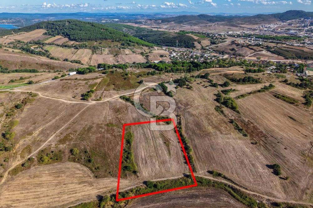 Kuzey Marmara Otoyoluna Yakın 1/1000 Planlı 1.625 m² ArsaHissesi