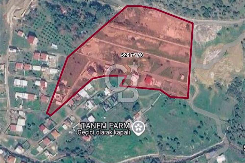 Buca Kaynaklar Nefes Bahçede Yatırımlık 321 m² Net Hisseli Tarla
