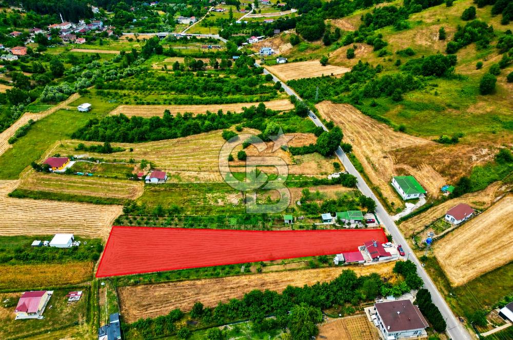 BUGÜN ALIN, YARIN KAZANIN! ŞİLE'DE 2.859 M² SATILIK ARSA