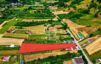 BUGÜN ALIN, YARIN KAZANIN! ŞİLE'DE 2.859 M² SATILIK ARSA