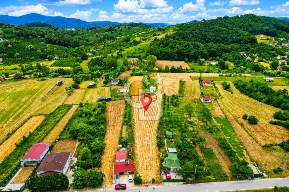 BUGÜN ALIN, YARIN KAZANIN! ŞİLE'DE 2.859 M² SATILIK ARSA