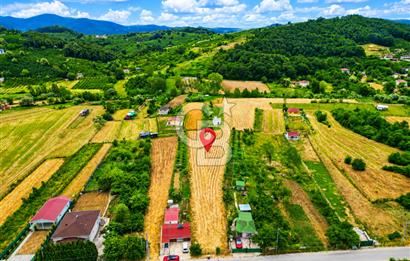 BUGÜN ALIN, YARIN KAZANIN! ŞİLE'DE 2.859 M² SATILIK ARSA