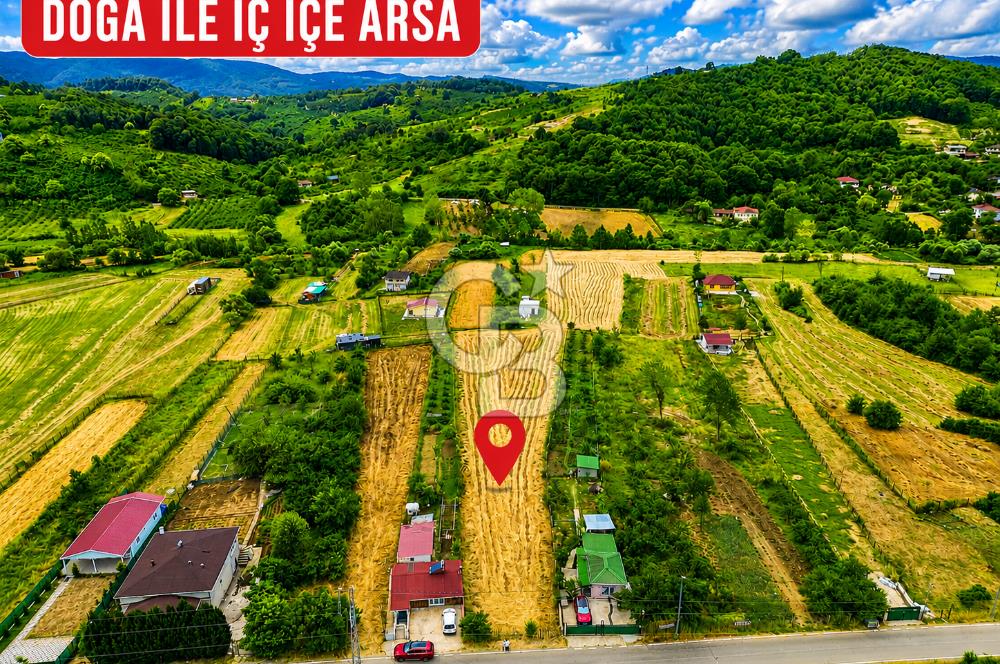 BUGÜN ALIN, YARIN KAZANIN! ŞİLE'DE 2.859 M² SATILIK ARSA