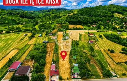 BUGÜN ALIN, YARIN KAZANIN! ŞİLE'DE 2.859 M² SATILIK ARSA