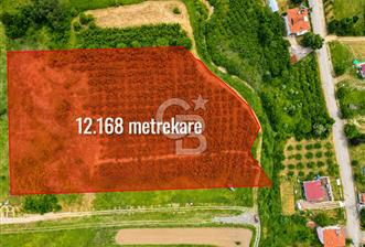 ŞİLE GEREDELİ'DE 7.014 M2 YATIRIMLIK FIRSAT FINDIKLIK !! - 1 - 371886