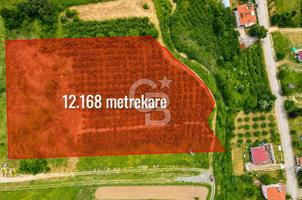 ŞİLE GEREDELİ'DE 7.014 M2 YATIRIMLIK FIRSAT FINDIKLIK !!