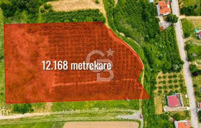 ŞİLE GEREDELİ'DE 7.014 M2 YATIRIMLIK FIRSAT FINDIKLIK !!