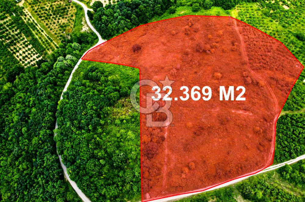 ŞİLE'DE 32.369 m² SATILIK FIRSAT! EKO-TURİZM & GLAMPINGE UYGUN