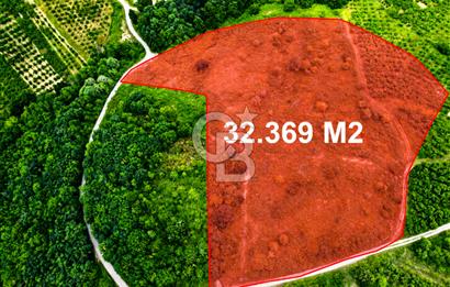 ŞİLE'DE 32.369 m² SATILIK FIRSAT! EKO-TURİZM & GLAMPINGE UYGUN