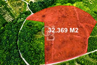 ŞİLE'DE 32.369 m² SATILIK FIRSAT! EKO-TURİZM & GLAMPINGE UYGUN - 4 - 371883