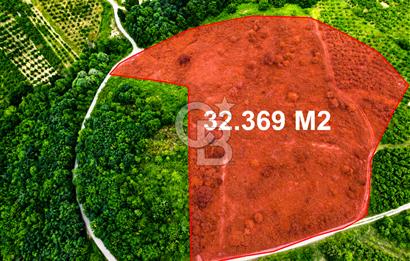 ŞİLE'DE 32.369 m² SATILIK FIRSAT! EKO-TURİZM & GLAMPINGE UYGUN