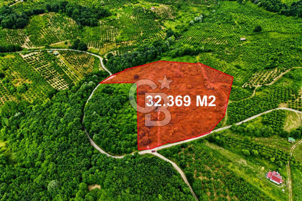 ŞİLE'DE 32.369 m² SATILIK FIRSAT! EKO-TURİZM & GLAMPINGE UYGUN