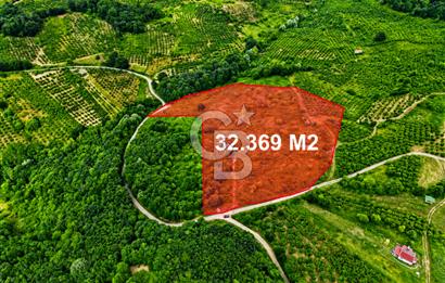 ŞİLE'DE 32.369 m² SATILIK FIRSAT! EKO-TURİZM & GLAMPINGE UYGUN