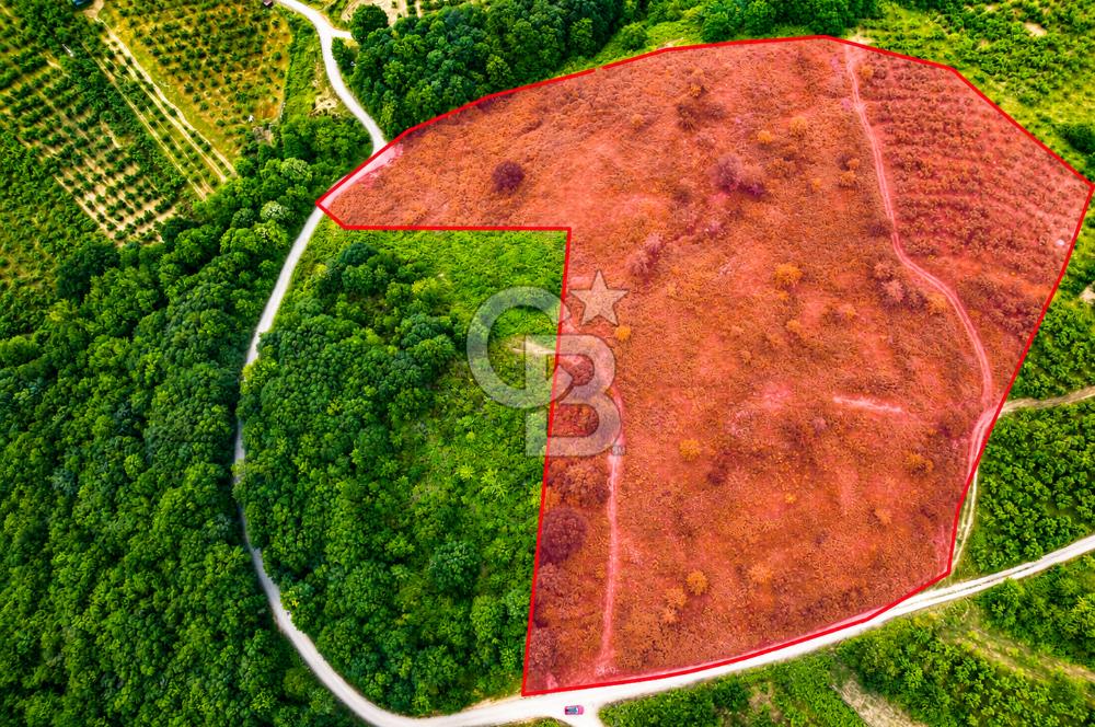 ŞİLE'DE 32.369 m² SATILIK FIRSAT! EKO-TURİZM & GLAMPINGE UYGUN