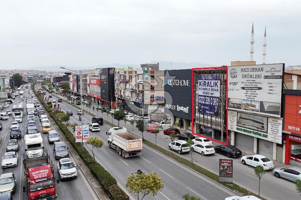 Yeşillik Caddesi 10m Cepheli Komple Kiralık Bina