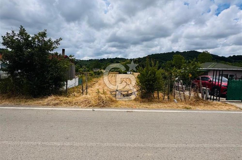 BUGÜN ALIN, YARIN KAZANIN! ŞİLE'DE 2.859 M² SATILIK ARSA
