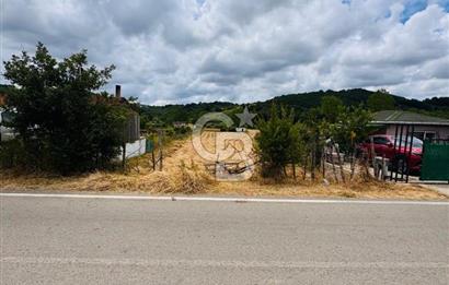 BUGÜN ALIN, YARIN KAZANIN! ŞİLE'DE 2.859 M² SATILIK ARSA