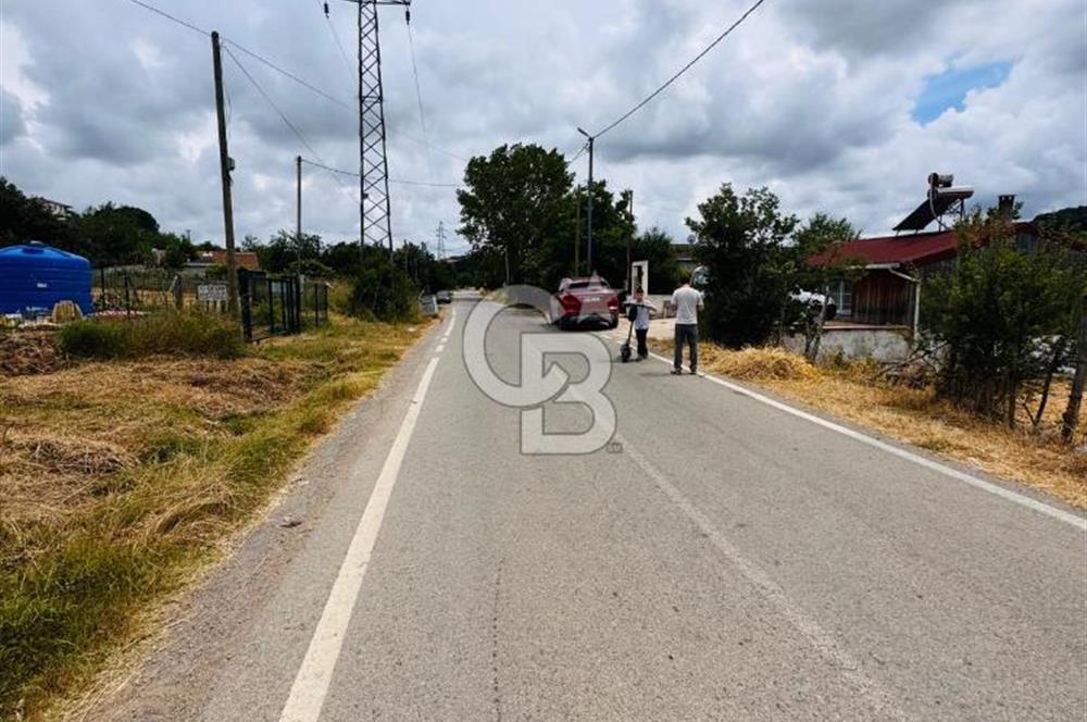 BUGÜN ALIN, YARIN KAZANIN! ŞİLE'DE 2.859 M² SATILIK ARSA