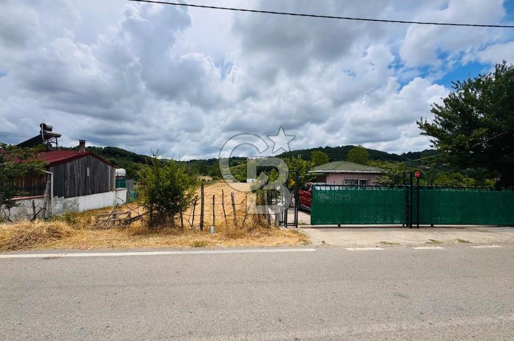 BUGÜN ALIN, YARIN KAZANIN! ŞİLE'DE 2.859 M² SATILIK ARSA