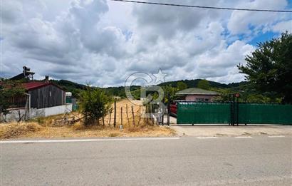 BUGÜN ALIN, YARIN KAZANIN! ŞİLE'DE 2.859 M² SATILIK ARSA