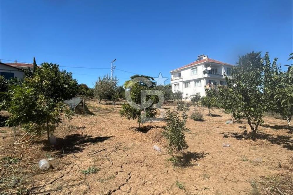 TEKİRDAĞ SÜLEYMANPAŞA KAYI MAHALLESİ KÖY İÇİNDE 949 m² ARSA