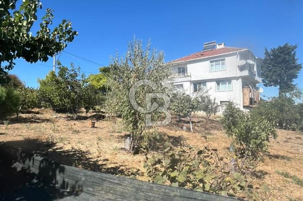 TEKİRDAĞ SÜLEYMANPAŞA KAYI MAHALLESİ KÖY İÇİNDE 949 m² ARSA