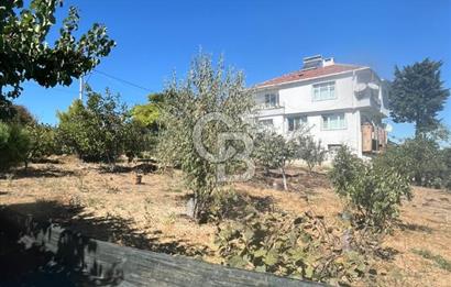 TEKİRDAĞ SÜLEYMANPAŞA KAYI MAHALLESİ KÖY İÇİNDE 949 m² ARSA