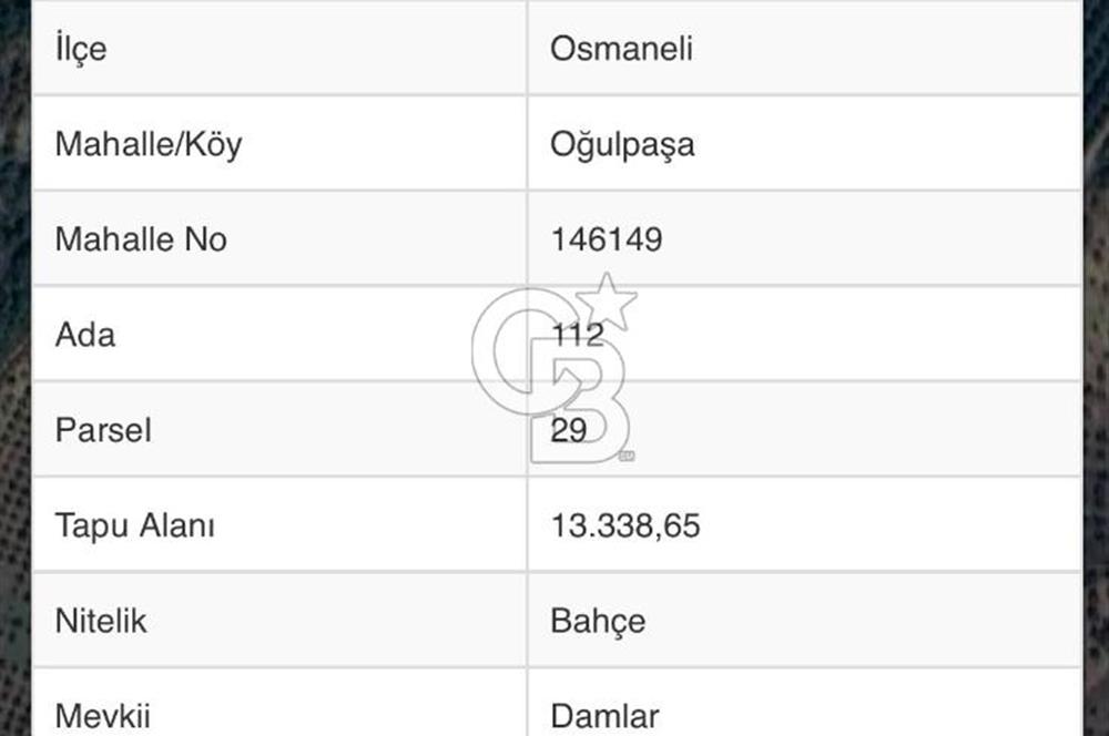 BİLECİK'TE ASFALT YOLA CEPHE 13.338 m2 SATILIK BAHÇE