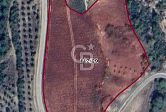 BİLECİK'TE ASFALT YOLA CEPHE 13.338 m2 SATILIK BAHÇE - 1 - 371947