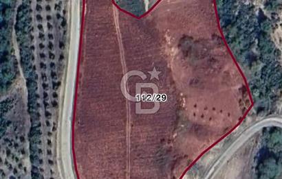 BİLECİK'TE ASFALT YOLA CEPHE 13.338 m2 SATILIK BAHÇE