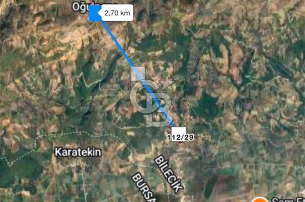 BİLECİK'TE ASFALT YOLA CEPHE 13.338 m2 SATILIK BAHÇE