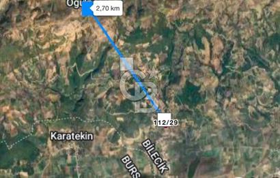 BİLECİK'TE ASFALT YOLA CEPHE 13.338 m2 SATILIK BAHÇE