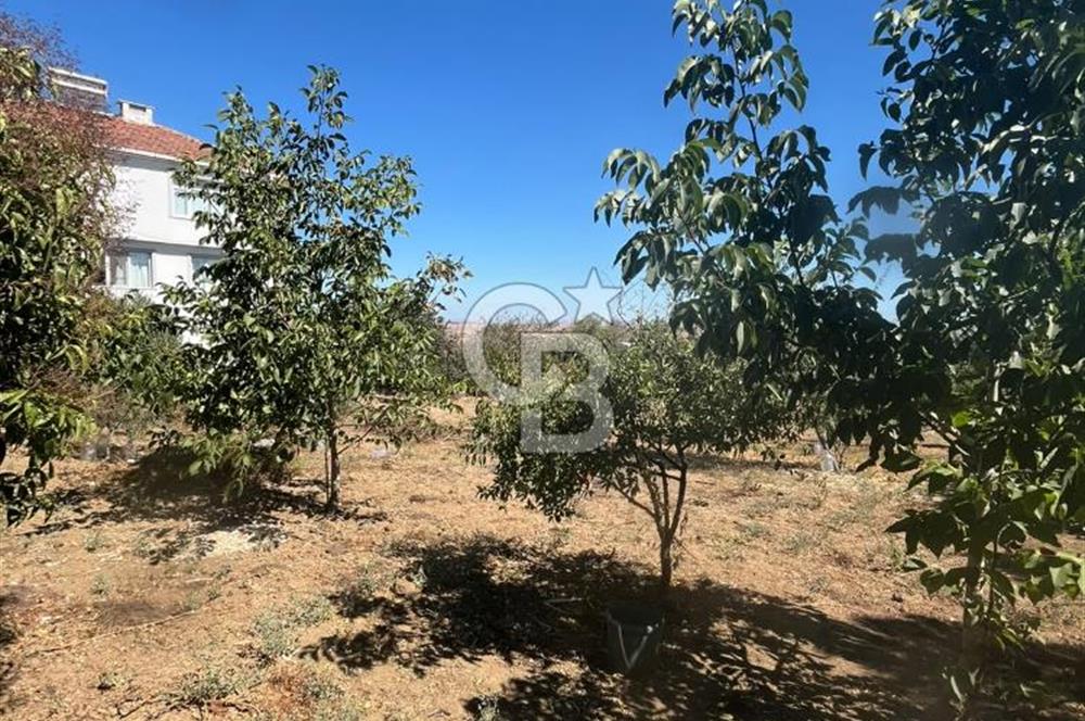 TEKİRDAĞ SÜLEYMANPAŞA KAYI MAHALLESİ KÖY İÇİNDE 949 m² ARSA