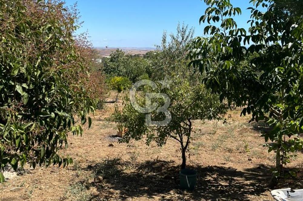 TEKİRDAĞ SÜLEYMANPAŞA KAYI MAHALLESİ KÖY İÇİNDE 949 m² ARSA