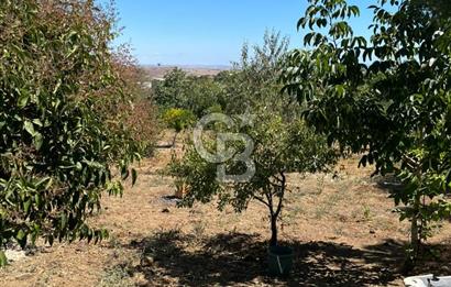 TEKİRDAĞ SÜLEYMANPAŞA KAYI MAHALLESİ KÖY İÇİNDE 949 m² ARSA