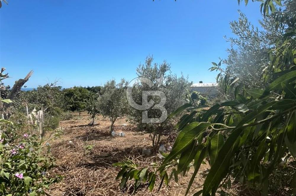 TEKİRDAĞ SÜLEYMANPAŞA KAYI MAHALLESİ KÖY İÇİNDE 949 m² ARSA