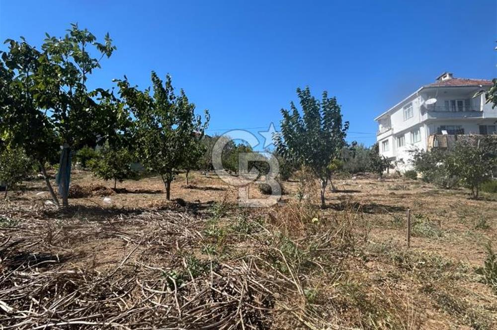 TEKİRDAĞ SÜLEYMANPAŞA KAYI MAHALLESİ KÖY İÇİNDE 949 m² ARSA