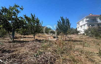 TEKİRDAĞ SÜLEYMANPAŞA KAYI MAHALLESİ KÖY İÇİNDE 949 m² ARSA