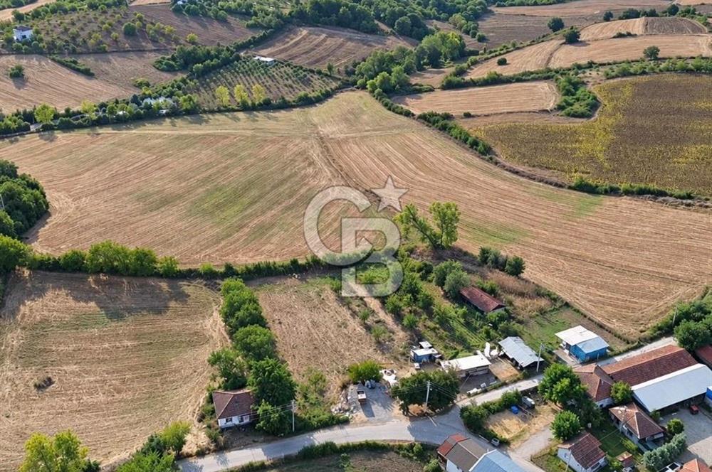 YALOVA ALTINOVADA YERLEŞİME KOMŞU 52 DÖNÜM SATILIK TARLA