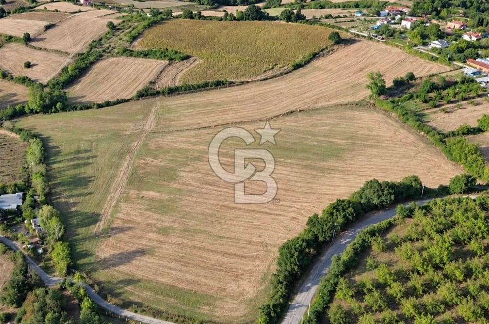 YALOVA ALTINOVADA YERLEŞİME KOMŞU 52 DÖNÜM SATILIK TARLA