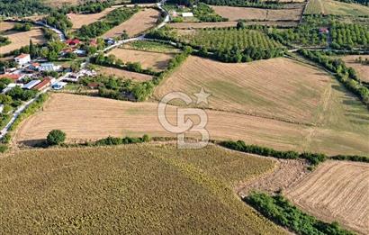 YALOVA ALTINOVADA YERLEŞİME KOMŞU 52 DÖNÜM SATILIK TARLA