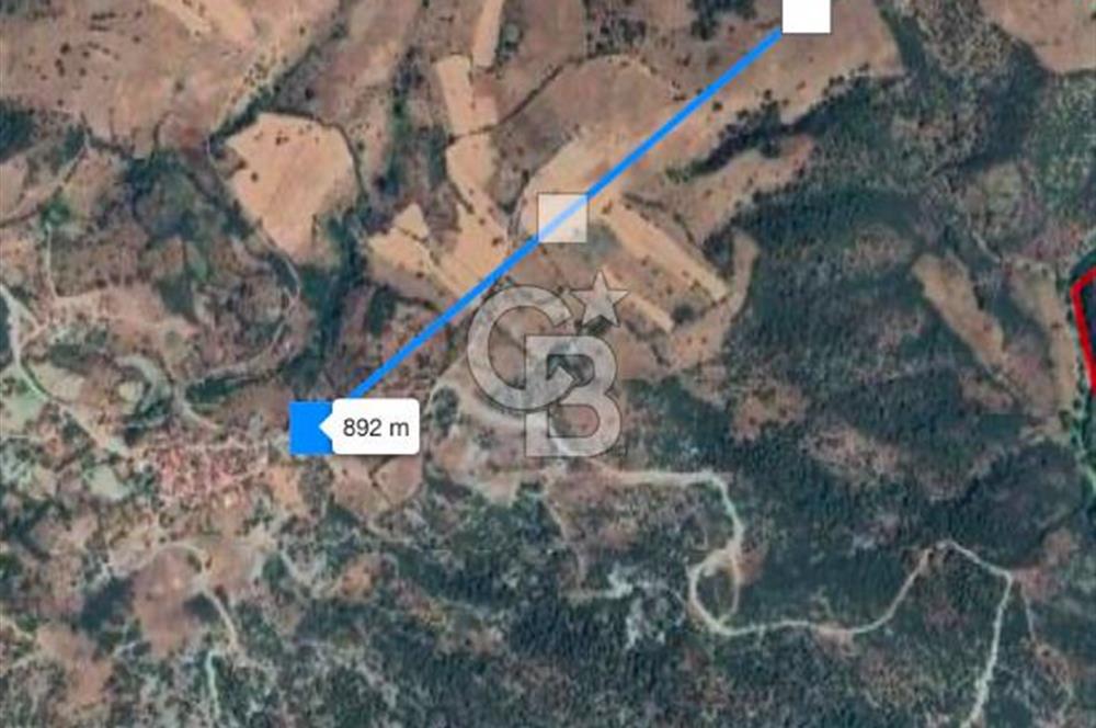 BALIKESİR DURSUNBEY YUNUSLAR MAHALLESİNDE 3.864 m² SATILIK TARLA