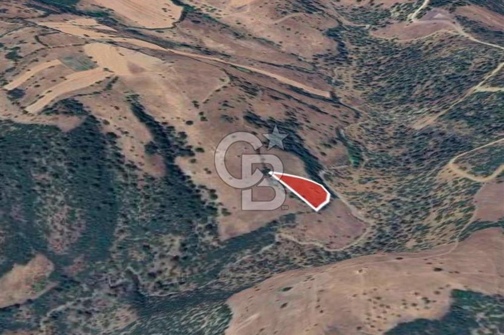 BALIKESİR DURSUNBEY YUNUSLAR MAHALLESİNDE 3.864 m² SATILIK TARLA