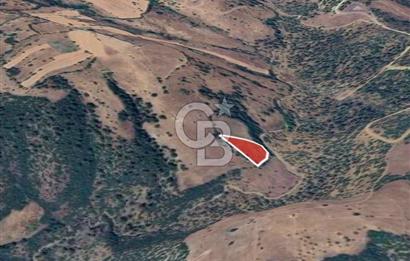 BALIKESİR DURSUNBEY YUNUSLAR MAHALLESİNDE 3.864 m² SATILIK TARLA